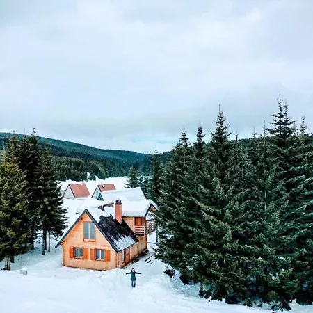 Milica - Golija Villa