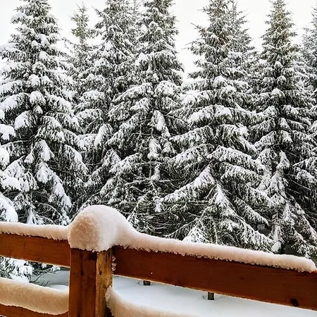 Milica - Golija Villa Radaljica